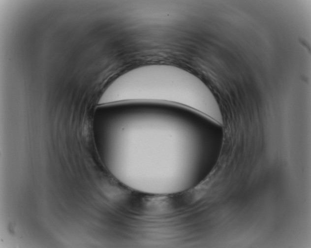 X0000096710132200802051046