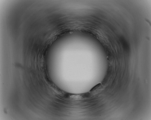 X0000096710133200802051046