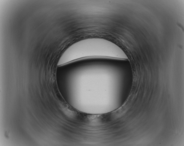 X0000096710136200802051046