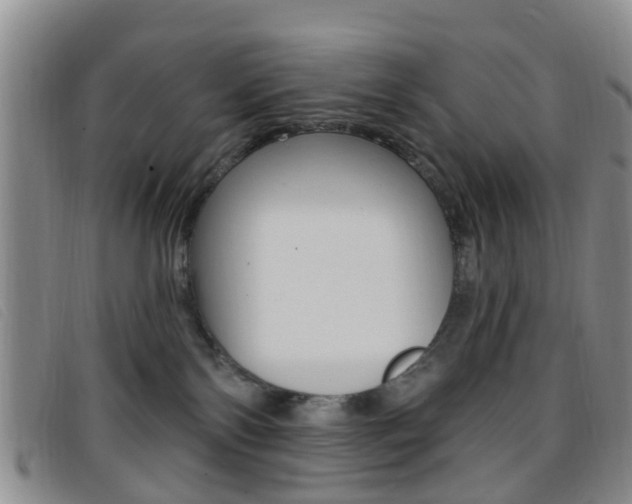 X0000096710138200802051046