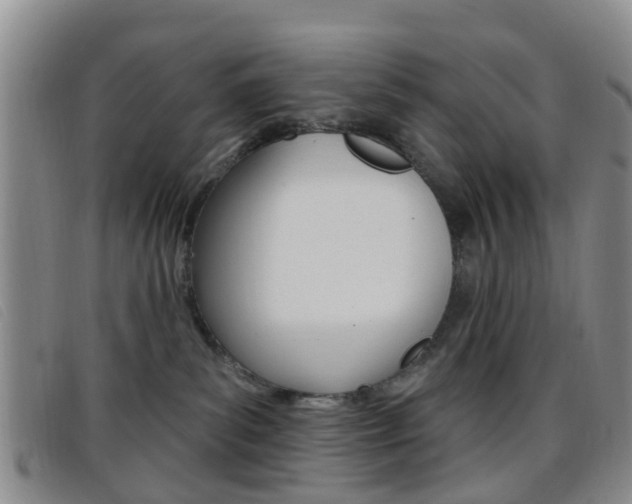 X0000096710139200802051046