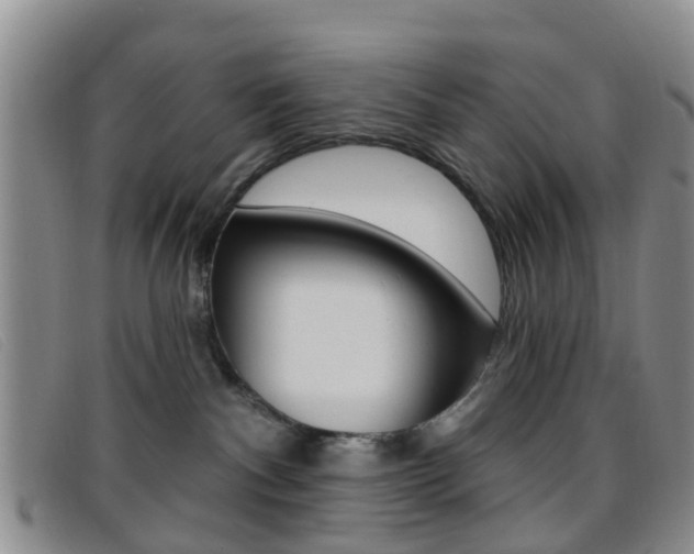 X0000096710140200802051046