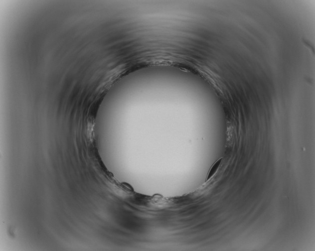 X0000096710142200802051046