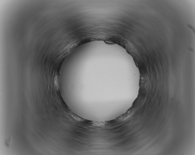 X0000096710143200802051046