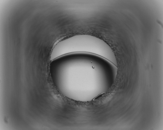 X0000096710144200802051046