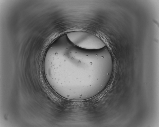 X0000096710145200802051045