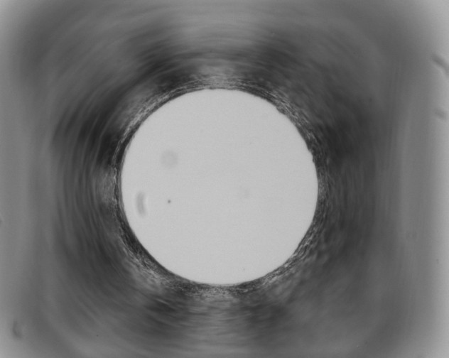 X0000096710146200802051045