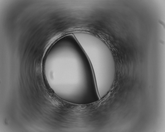 X0000096710148200802051045