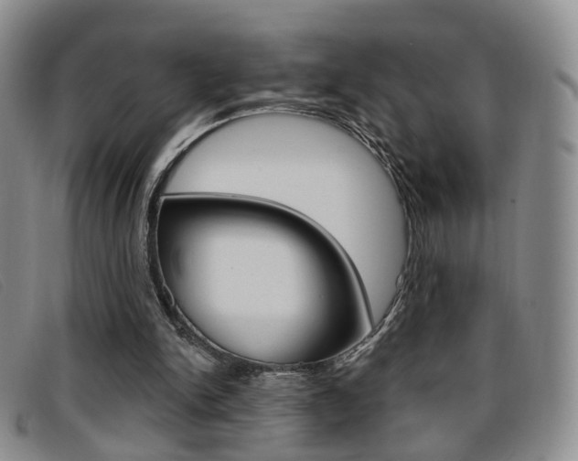 X0000096710150200802051045