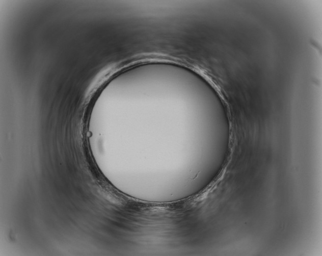 X0000096710151200802051045