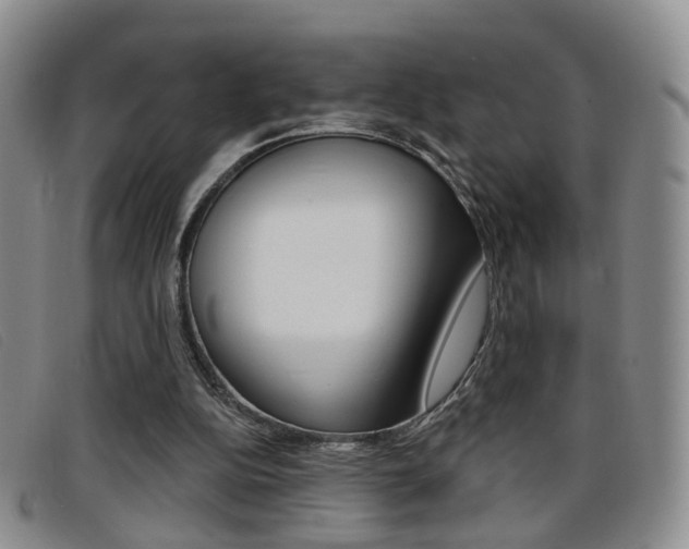 X0000096710152200802051045