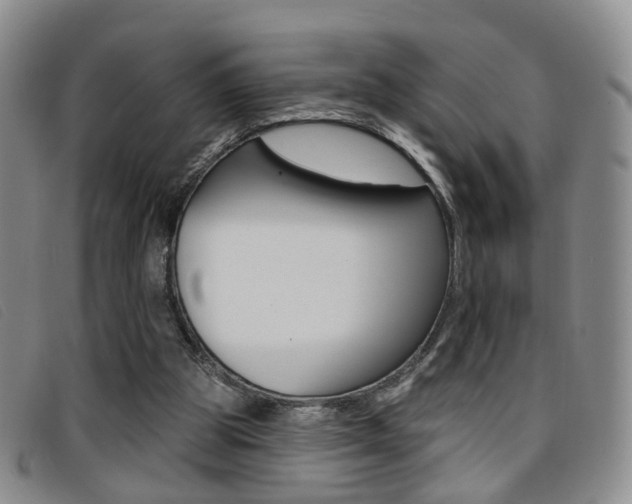 X0000096710153200802051045