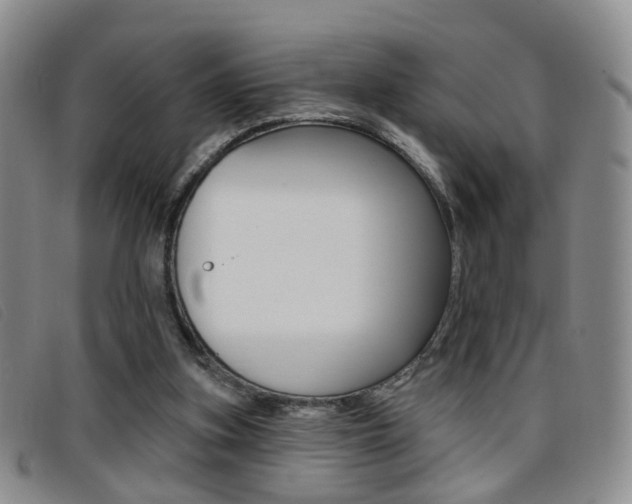 X0000096710155200802051045