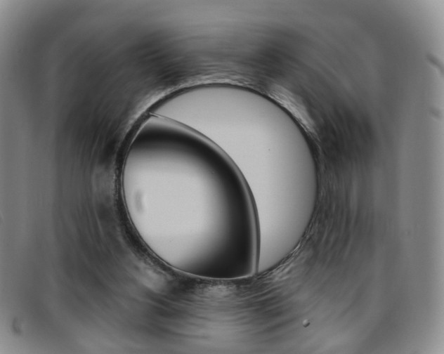 X0000096710156200802051045