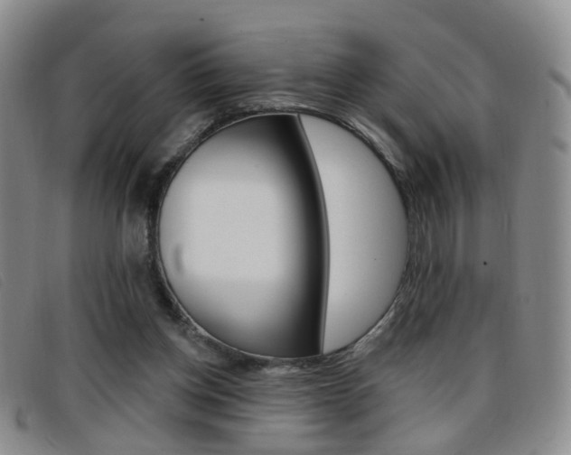 X0000096710158200802051045