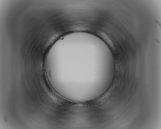 X0000096710159200802051045