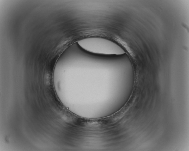 X0000096710161200802051045