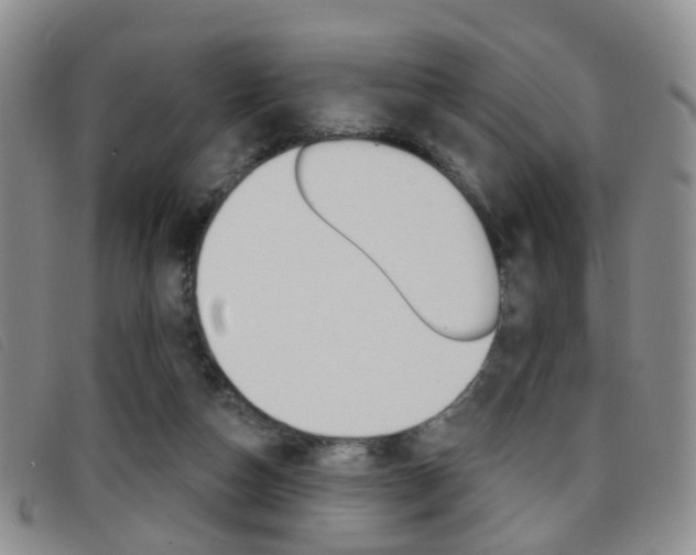 X0000096710162200802051045