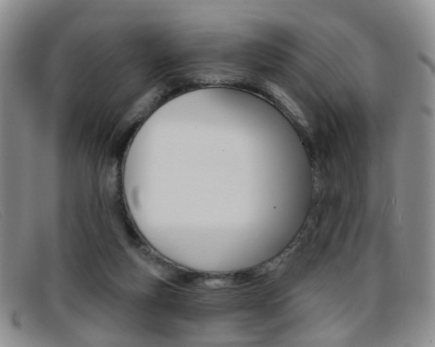 X0000096710163200802051045