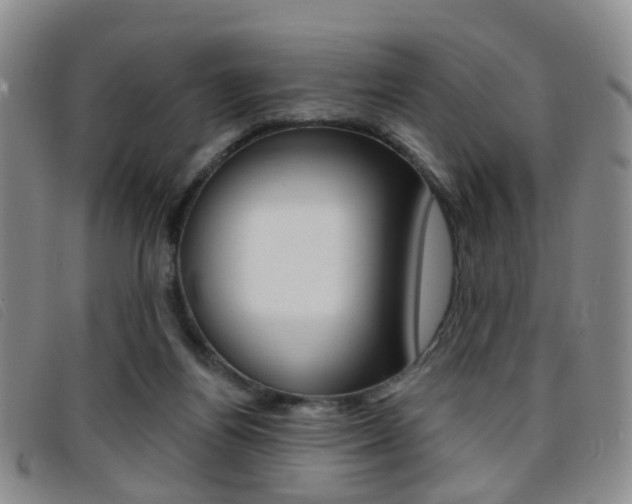 X0000096710164200802051045