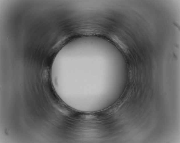 X0000096710165200802051045