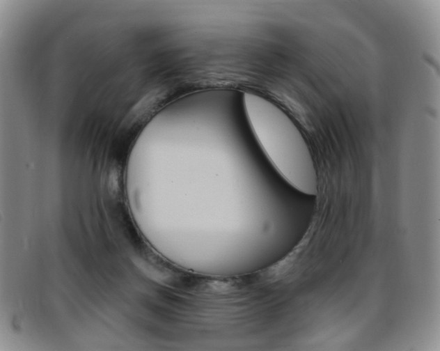 X0000096710166200802051045