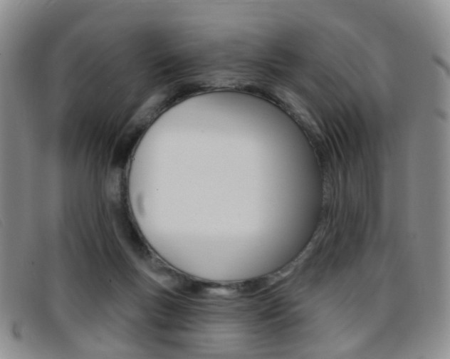 X0000096710167200802051046