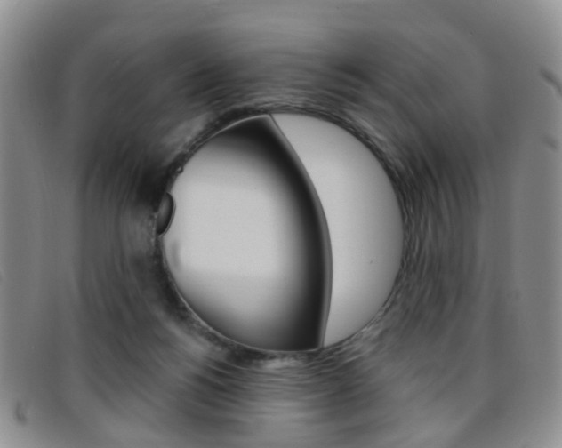 X0000096710168200802051046