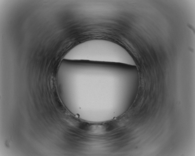 X0000096710169200802051046