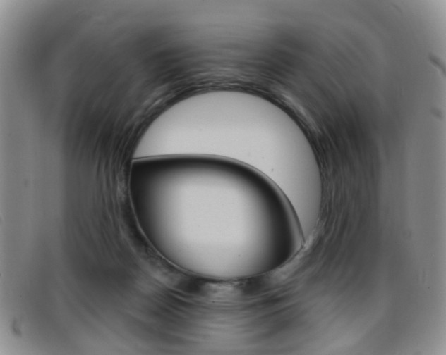 X0000096710170200802051046