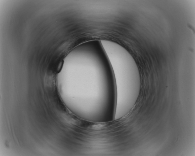 X0000096710172200802051046