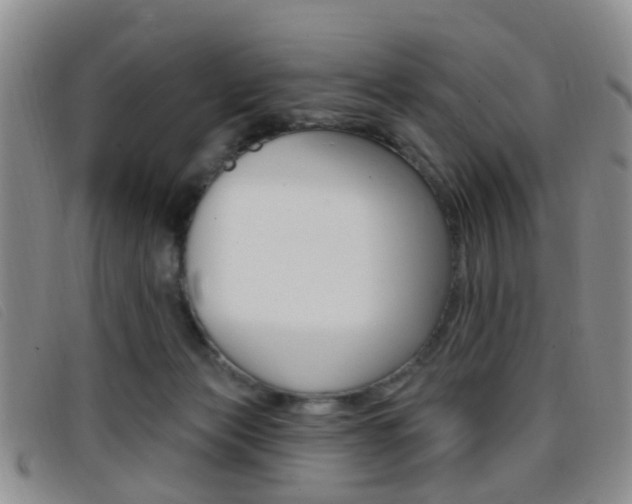 X0000096710173200802051046