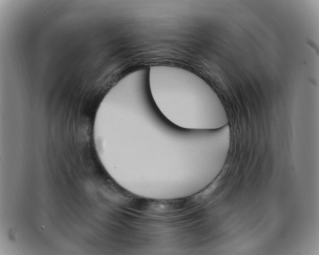 X0000096710174200802051046