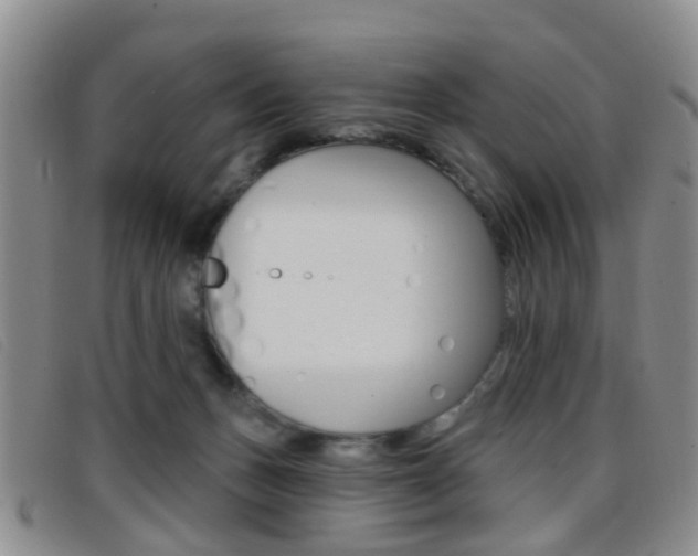 X0000096710175200802051046