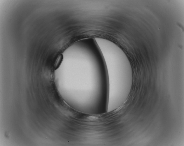 X0000096710176200802051046