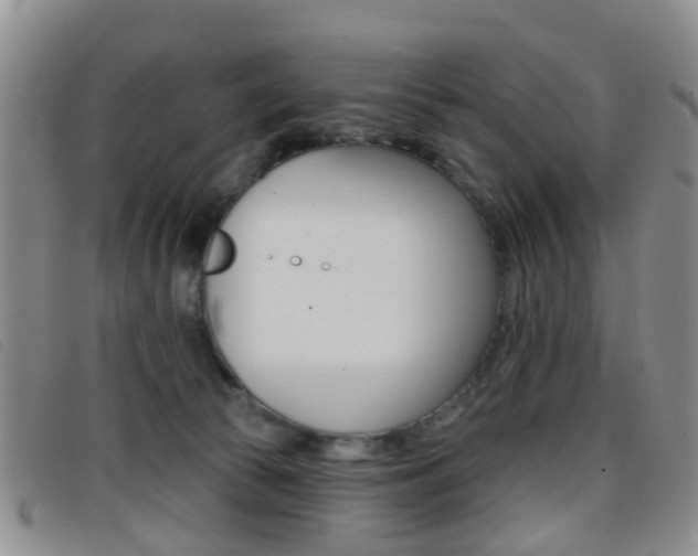 X0000096710177200802051046