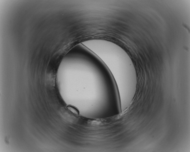 X0000096710180200802051046