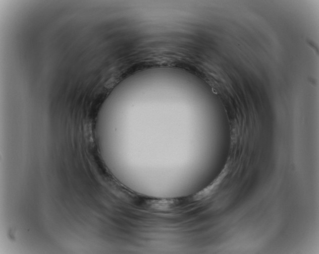 X0000096710182200802051046