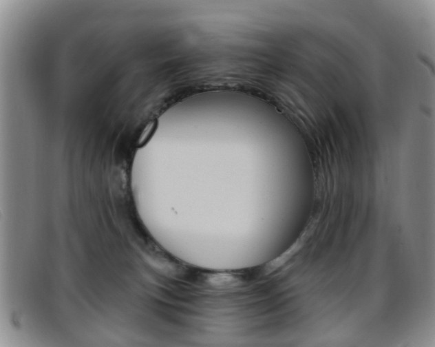 X0000096710183200802051046