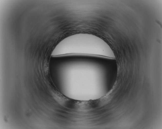 X0000096710186200802051046