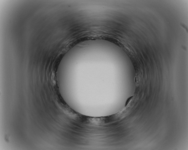 X0000096710187200802051046