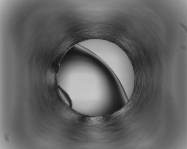 X0000096710188200802051046