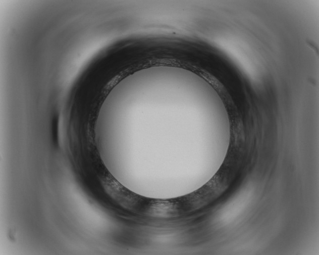 X0000096710189200802051046