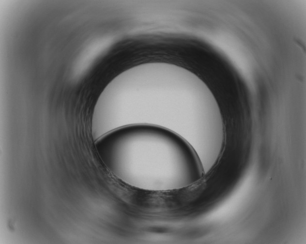 X0000096710190200802051046