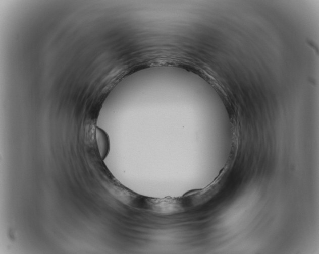 X0000096710191200802051046