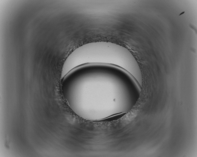 X0000096710192200802051046