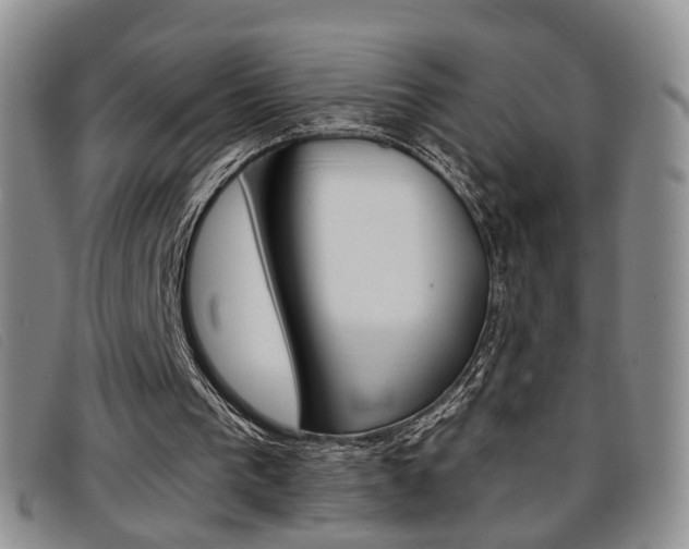 X0000096710193200802051045