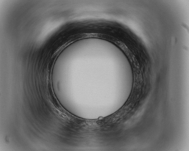 X0000096710194200802051045