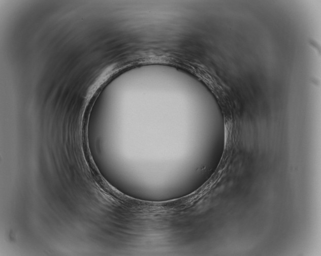 X0000096710195200802051045