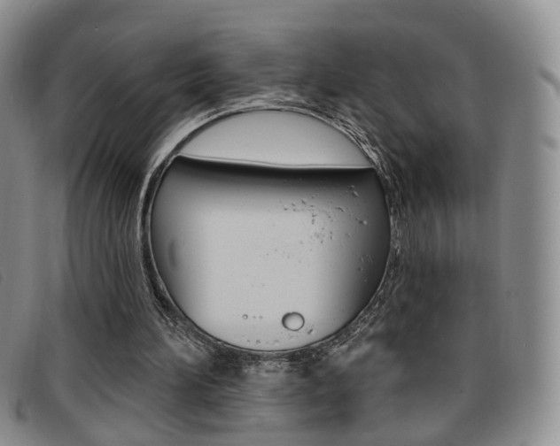 X0000096710196200802051045